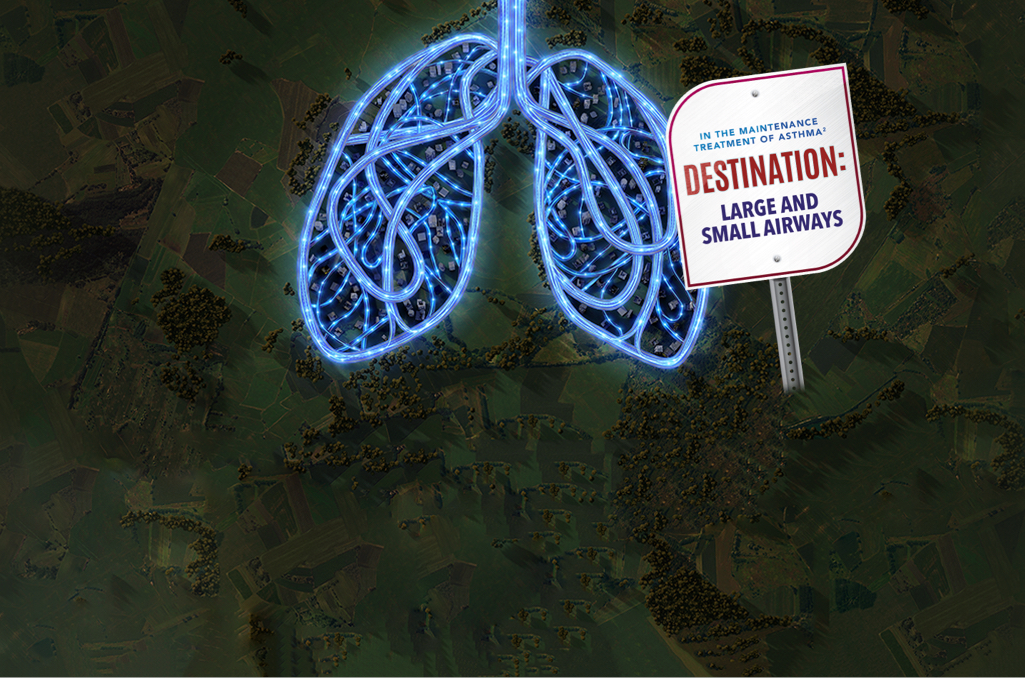 Sign that reads "In the maintenance treatment of asthma Destination: Large and Small Airways" with a picture of lungs overlaid on roads.