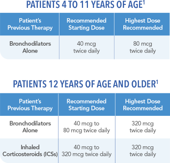 Qvar Redihaler Beclomethasone Dipropionate Hfa Dosage 40 And 80 Mcg